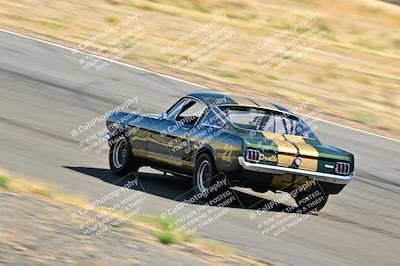 media/Mar-23-2025-West Coast Racing (Sun) [[de161b708f]]/Yellow Group/Session 3 (Turns 3 and 5)/